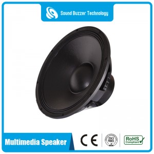 Free sample 5″ Big Power sound speaker for multimedia